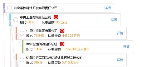 北京华棉科技 以专业IFRS之力与大查客户端验证深化信息技术服务渠道可靠性